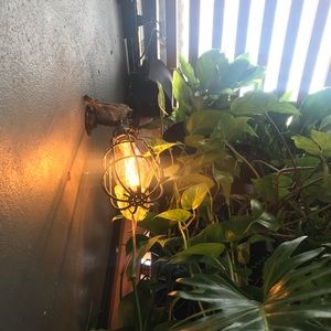 Meet your Posher, Lucy